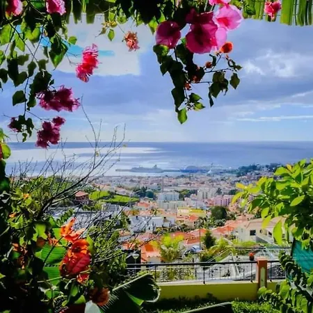 Granny's House View