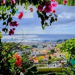 Granny's House View