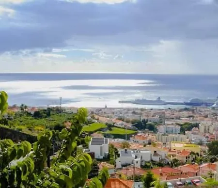 Granny's House View