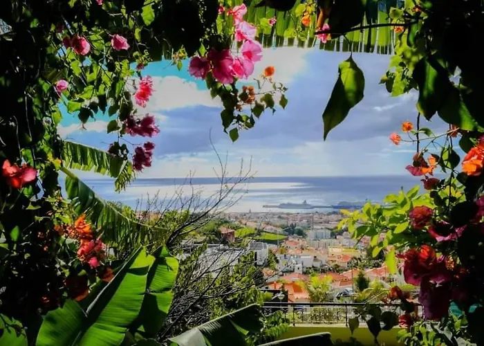 Granny's House View 別荘 *